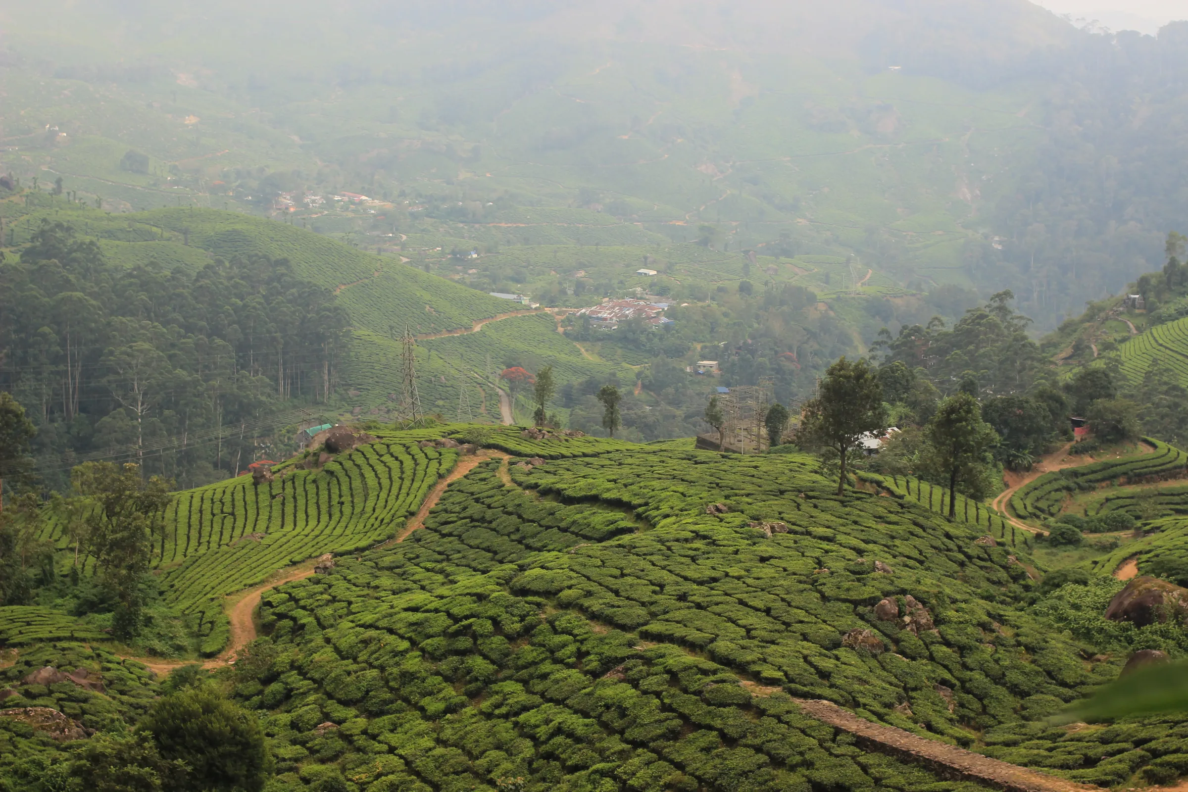 Munnar